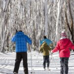 cross-country-skiiing-gallery