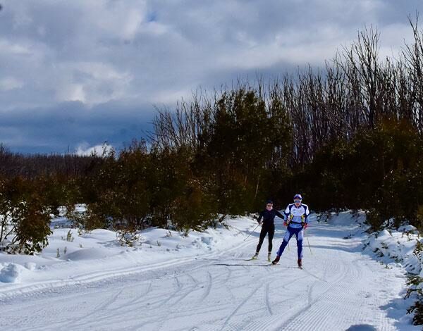 Cross country skiers two cross country skiers on the mountain
