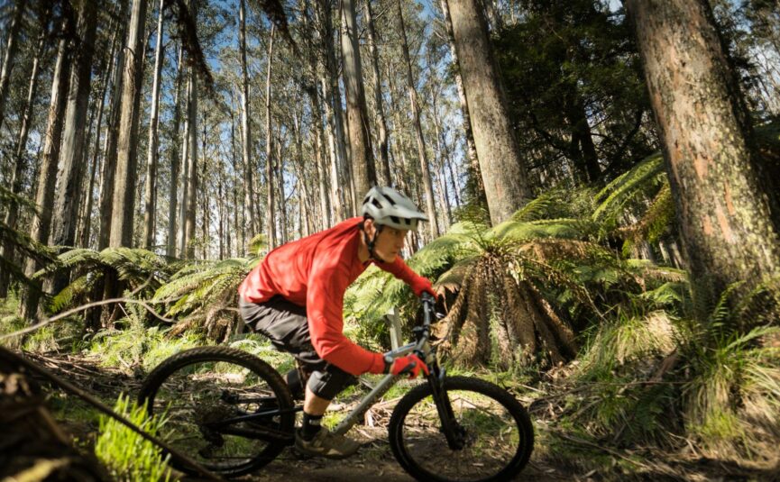 Mountain biking in nature