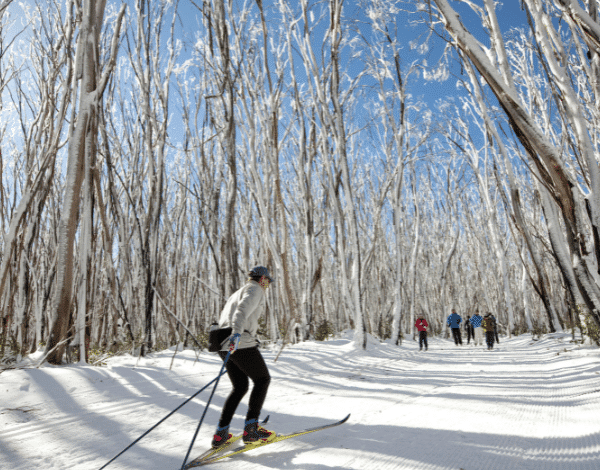 1 cross-country ski trails